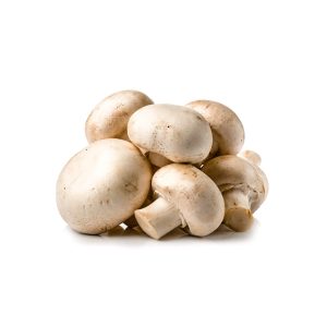 Fresh button mushroom