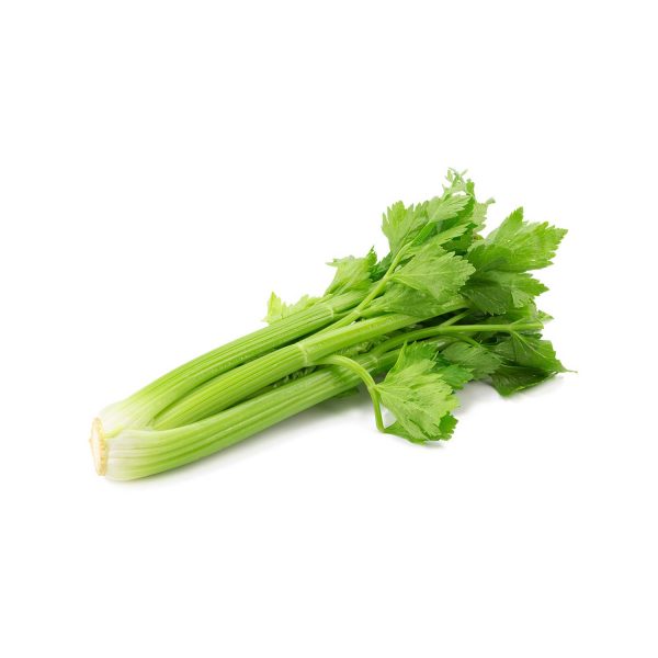 fresh celery