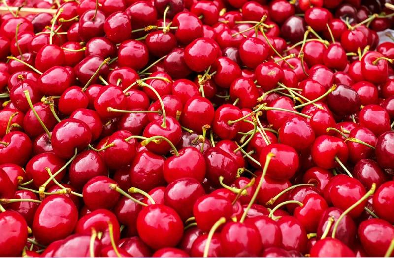health benefits or types of iranian cherry iran cherry introduction