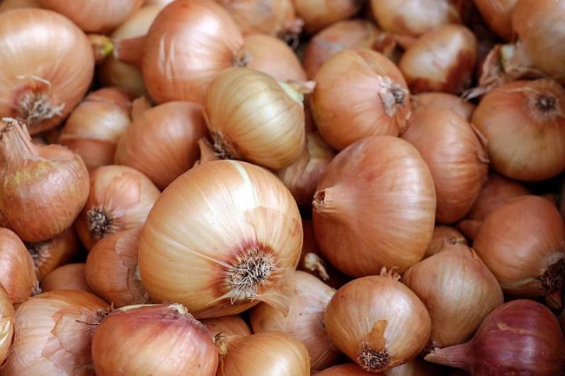 onion varieties in iran - Onion Properties for Health - red onion exporter