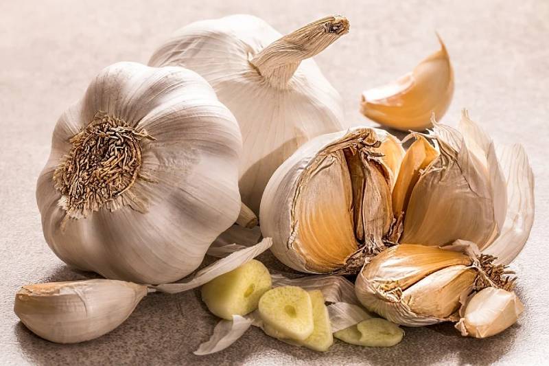 everything about garlic medical information or benefits +garlic color types