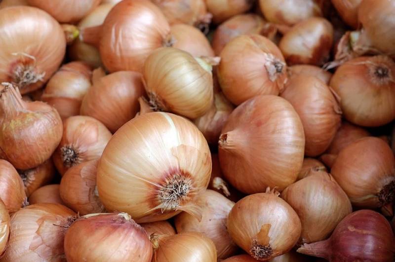 how to keep onions fresh - onion benefits and effect on hair