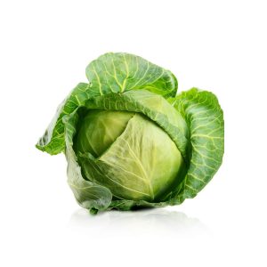 fresh Green Cabbage