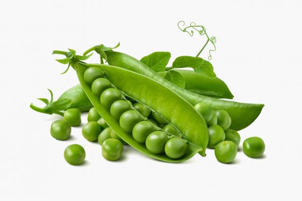 Fresh green Pea