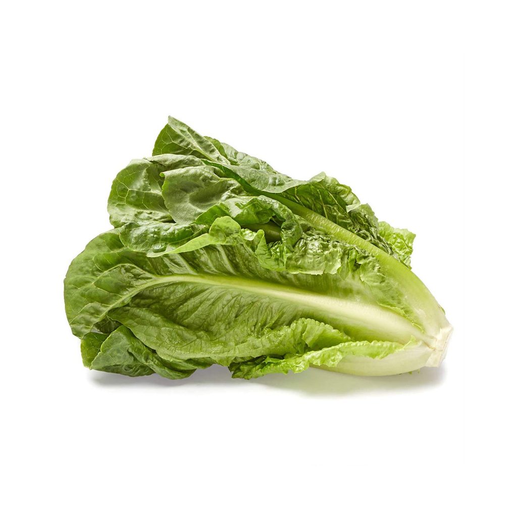 fresh lettuce