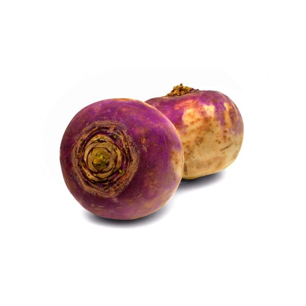 Fresh White Turnip