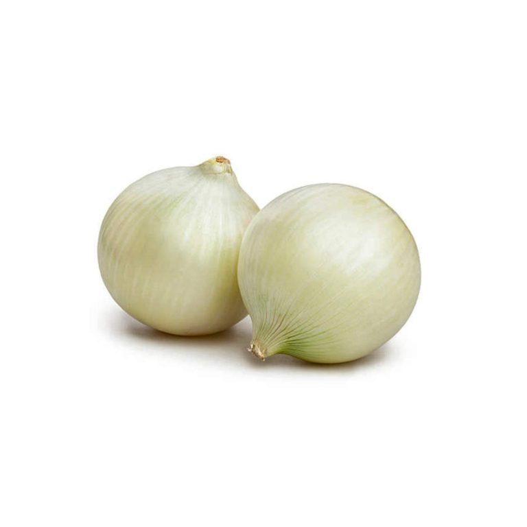 Fresh White Onion