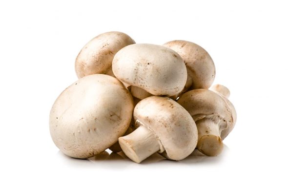 Fresh button mushroom