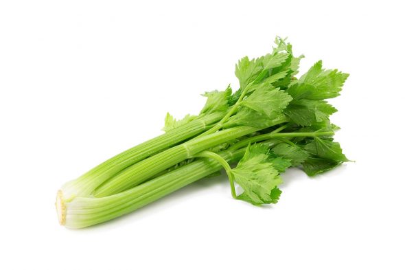 fresh celery