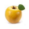 Apple ( Persian Yellow )