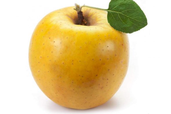 Apple ( Persian Yellow )