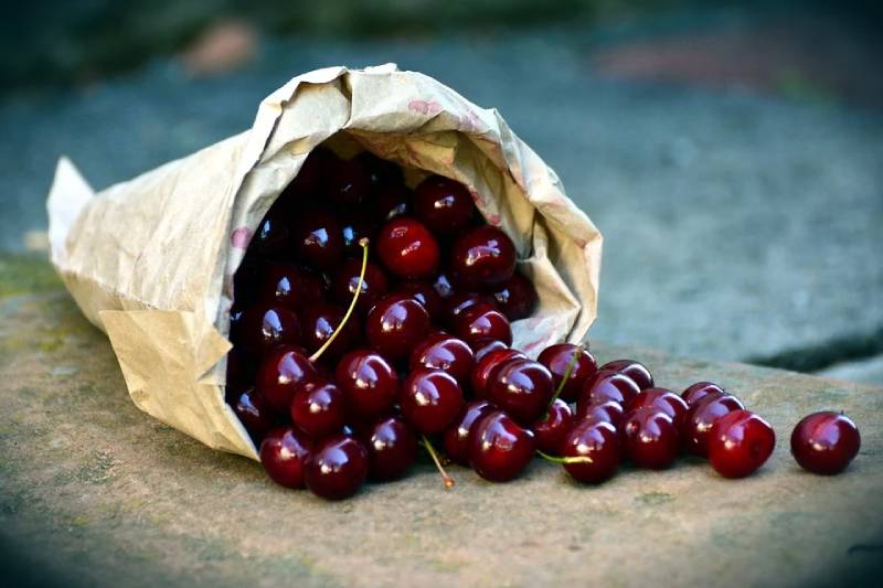 is cherry a berry ? cherries nutrition facts + recipes + health benefits