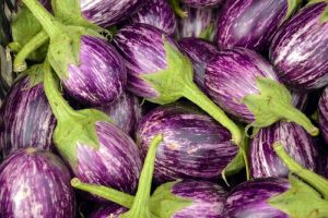 eggplant benefits + nutrition facts + taste of organic eggplants