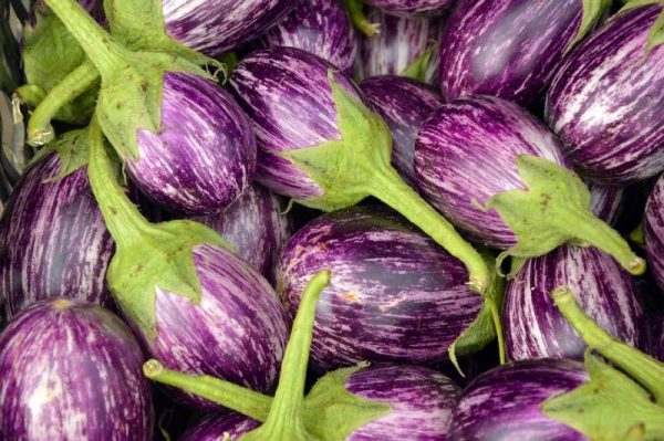 Eggplant Benefits Nutrition Facts Taste Of Organic Eggplants Iff 