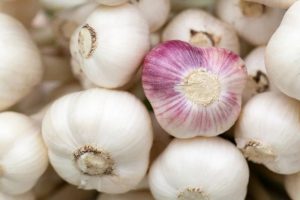 everything about garlic medical information or benefits +garlic color types