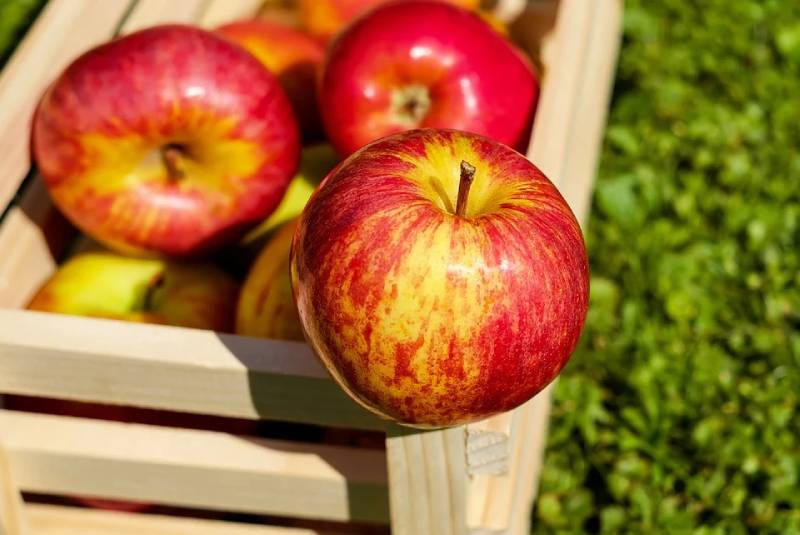 Apple face mask recepies for glowing , clear or dull skin + desserts