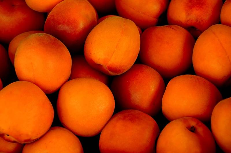 apricot benefits , nutrition facts and apricot dessert recipe