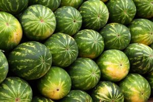what are water melon benefits ? what is the sweetest watermelon ?