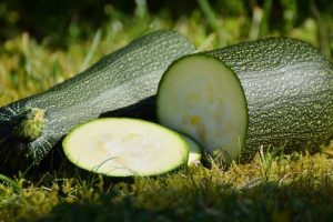 zucchini benefits and its difference with squash + nutrition facts