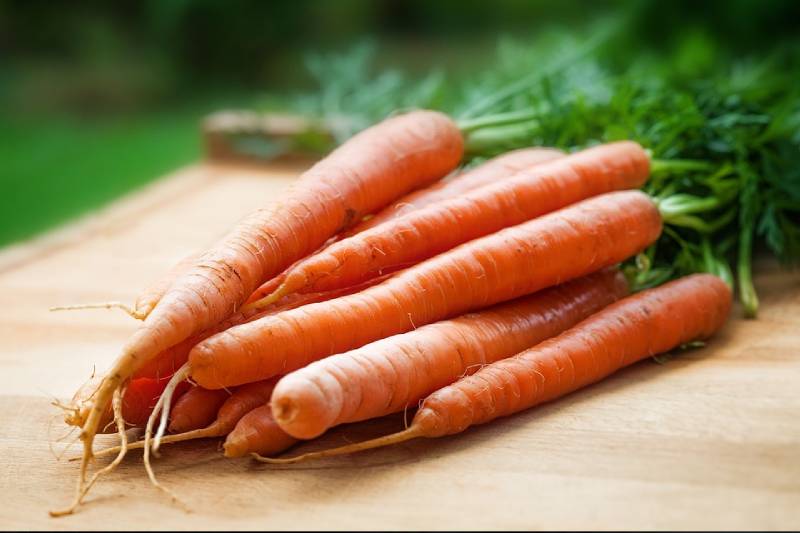 Pilmico Flour - Carrots are a good source of beta-carotene, fiber, vitamin  K, potassium and antioxidants. It has numerous health benefits, and  particularly easy to grow as long as there is good